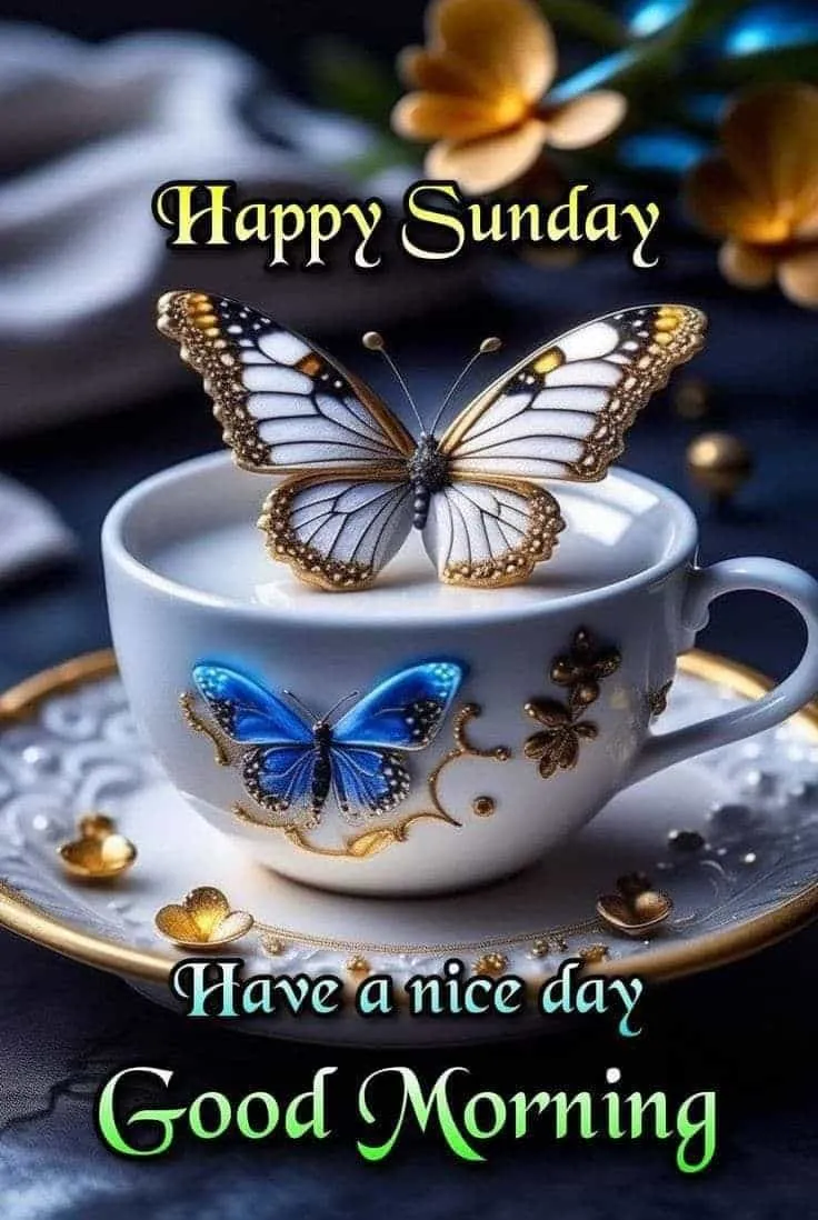 sunday-good-morning-images-for-whatsapp-5 Sunday Good Morning Images For Whatsapp