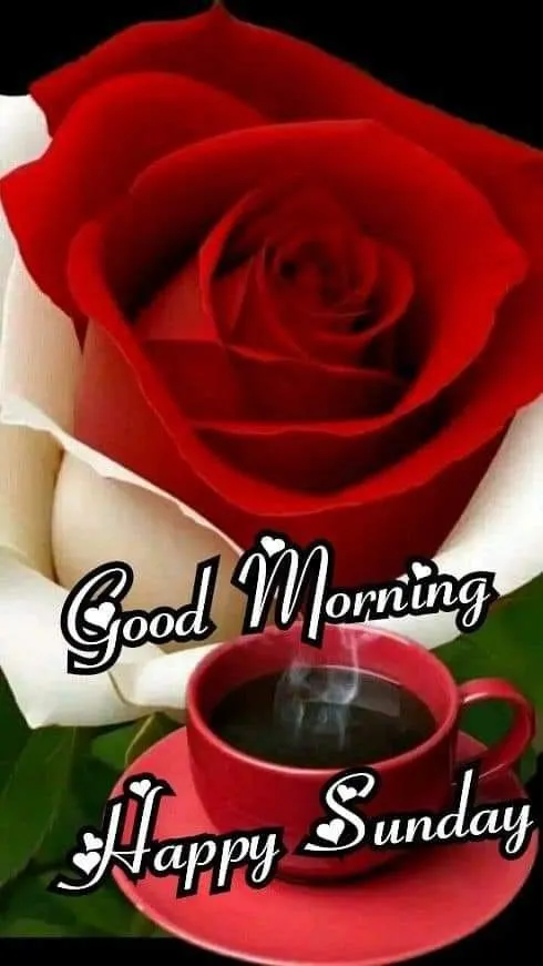 sunday-good-morning-images-for-whatsapp-8 Sunday Good Morning Images For Whatsapp