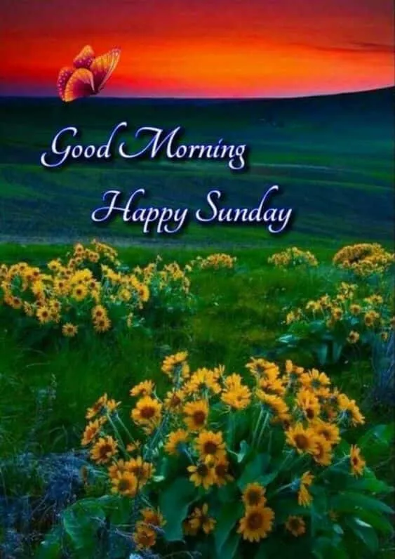 sunday-good-morning-photo-1 Sunday Good Morning Photo