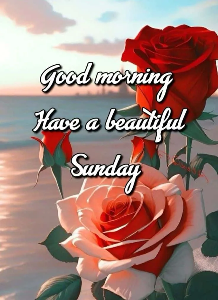sunday-good-morning-photo-10 Sunday Good Morning Photo