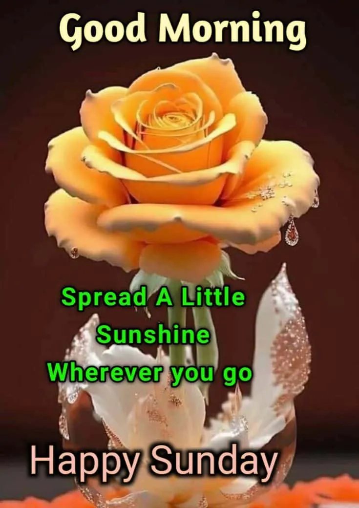sunday-good-morning-photo-4 Sunday Good Morning Photo