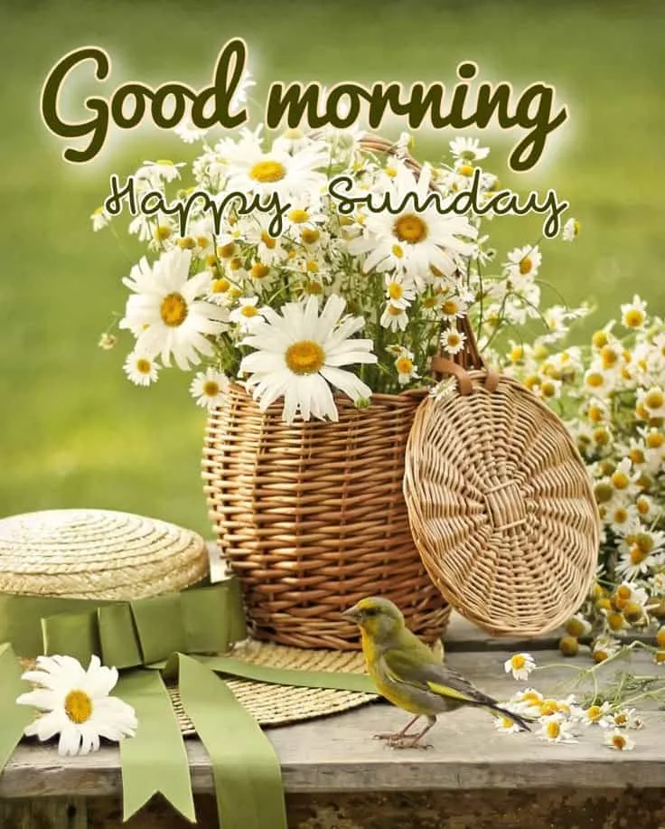 sunday-good-morning-photo-5 Sunday Good Morning Photo