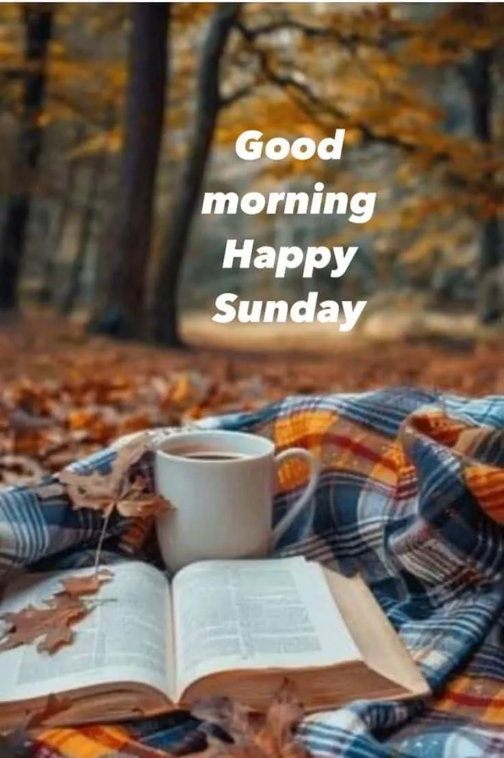 sunday-good-morning-photo-6 Sunday Good Morning Photo