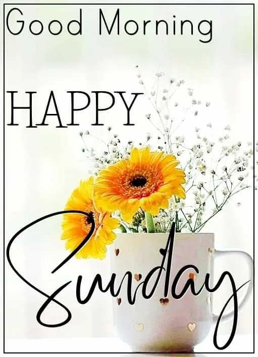 sunday-good-morning-photo-7 Sunday Good Morning Photo