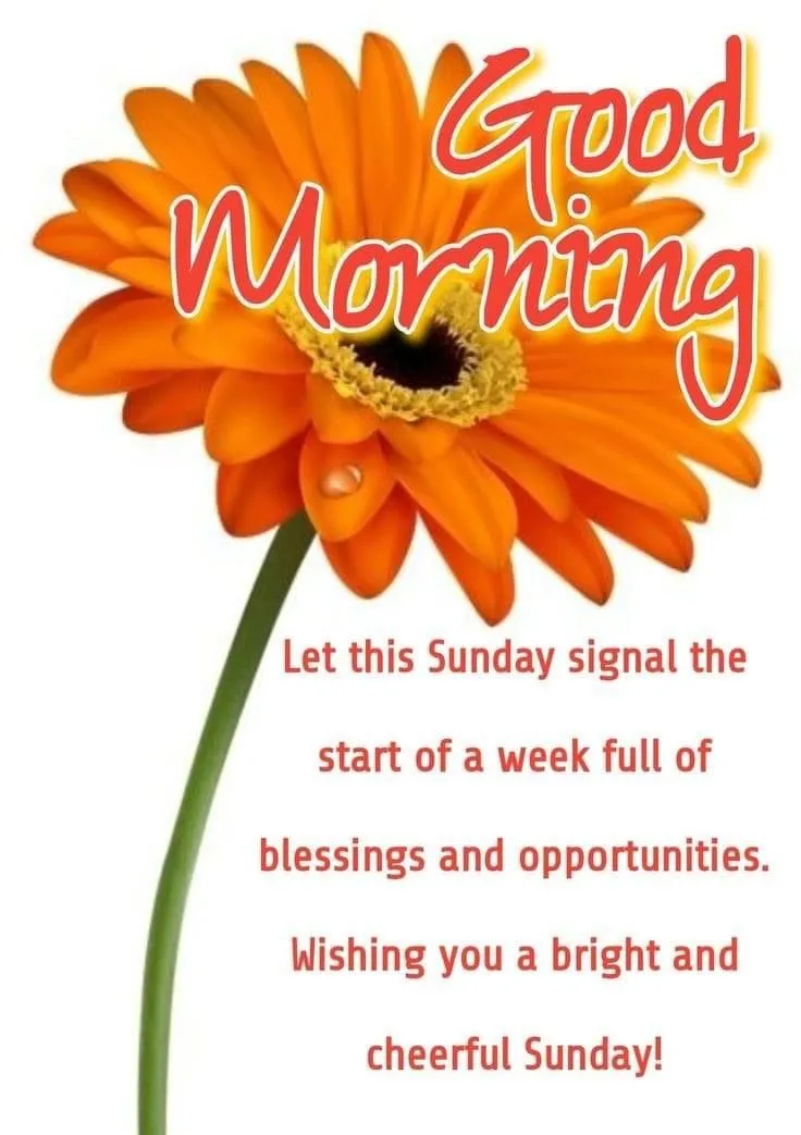 sunday-good-morning-wishes-1 Sunday Good Morning Wishes