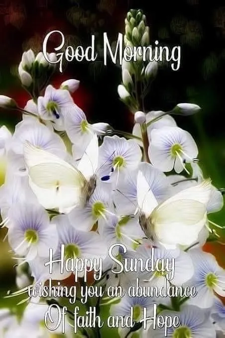 sunday-good-morning-wishes-8 Sunday Good Morning Wishes