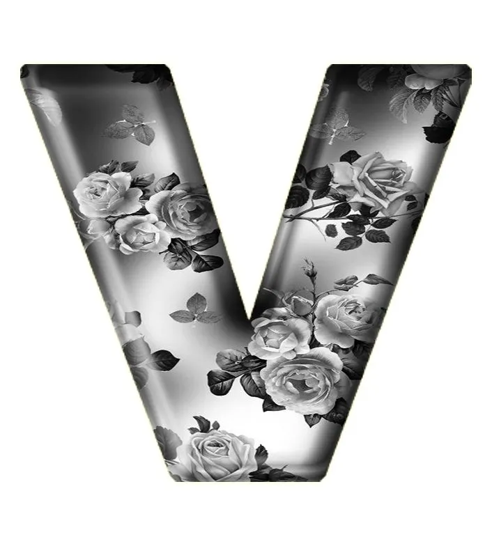 v-name-dp-8 V Name Dp