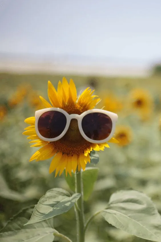 Aesthetic Picture For Instagram