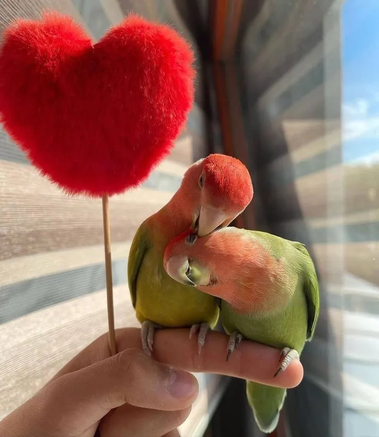 Best Instagram Dp Best Instagram Dp