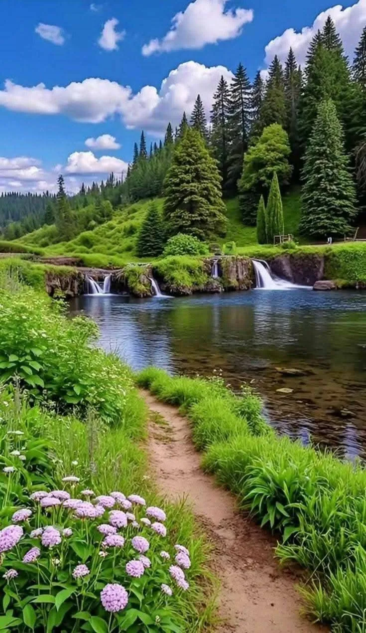 Best Nature Photo