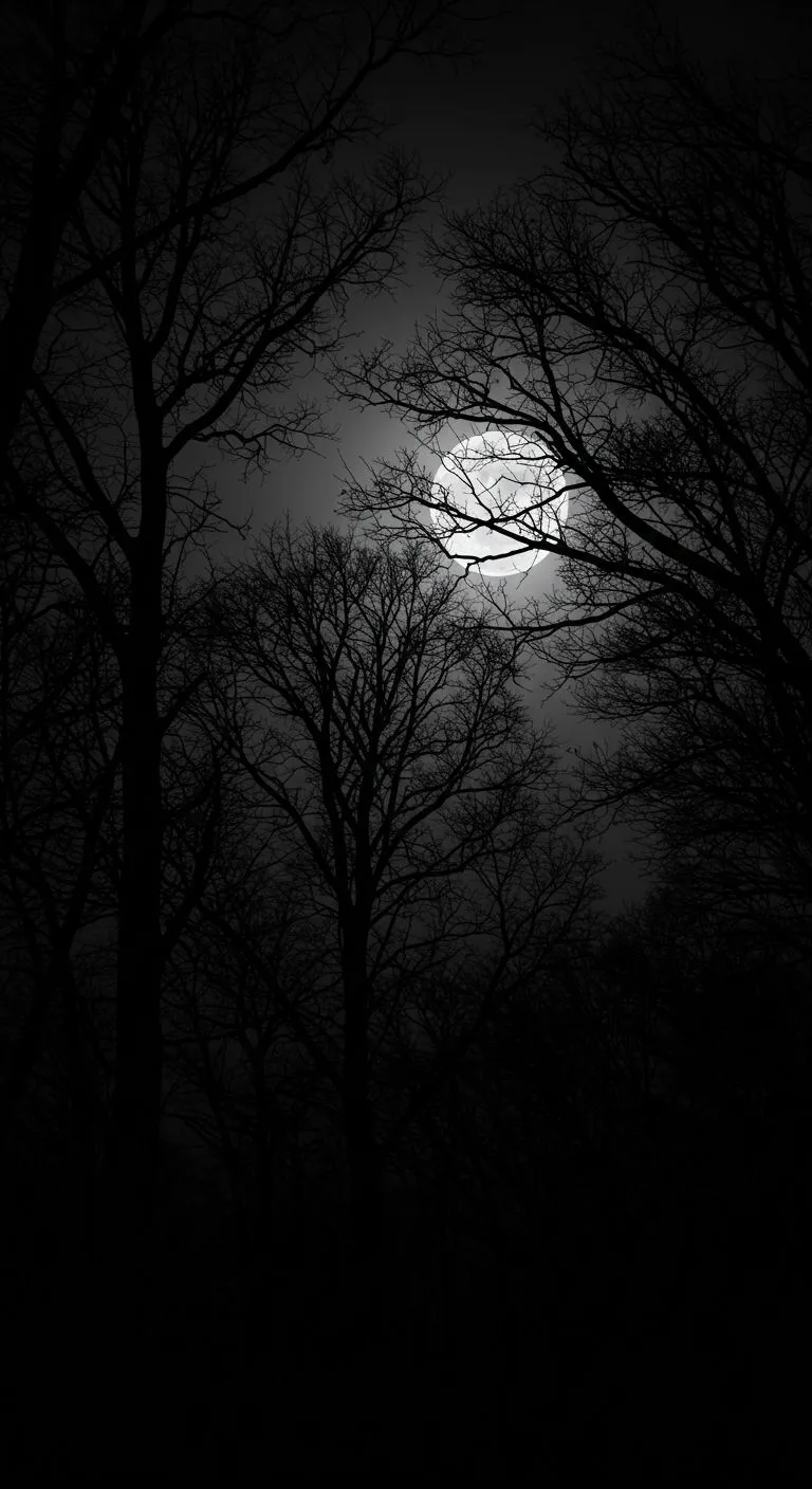 Black Color Image