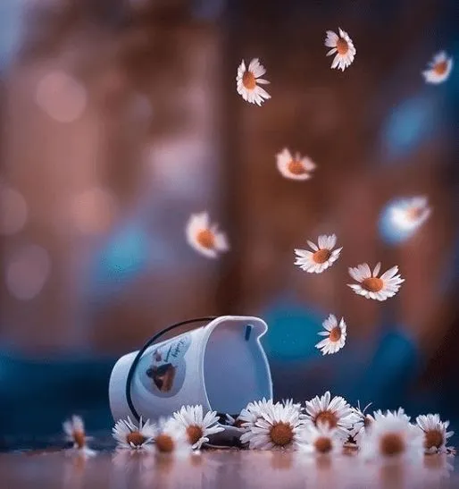 Cute Photos For Dp Cute Photos For Dp