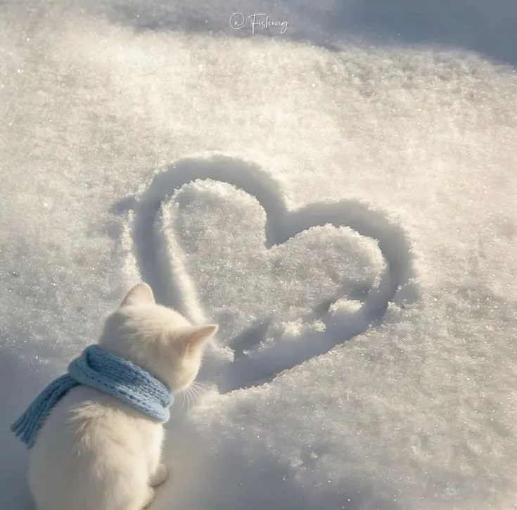 Cute Photos For Dp Cute Photos For Dp