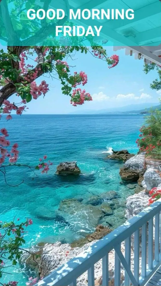 Good Morning Friday Photo
