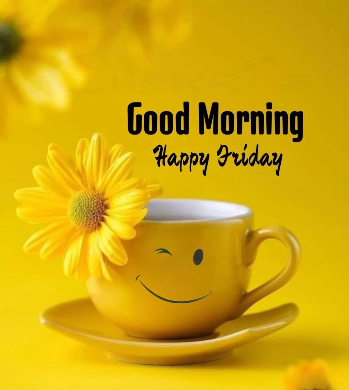 Good Morning Happy Friday Photos