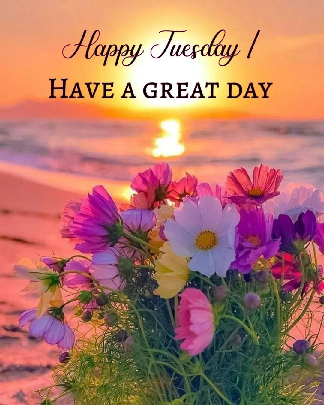 Good Morning Happy Tuesday Images
