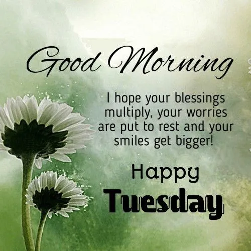 Good Morning Happy Tuesday Images