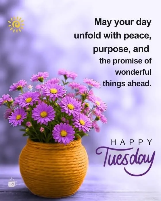 Good Morning Happy Tuesday Images