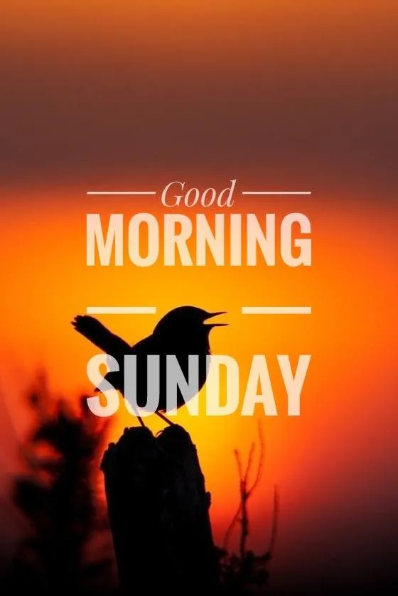 Good Morning Sunday Dp For Whatsapp