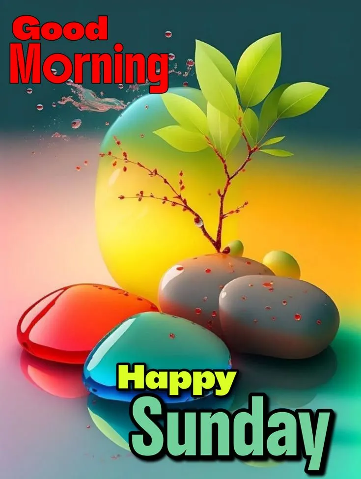 Good Morning Sunday Images For Whatsapp