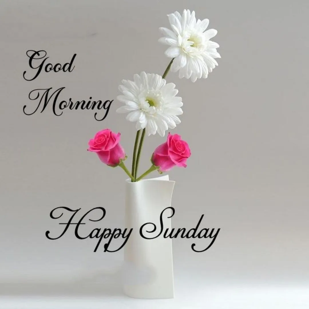 Good Morning Sunday Dp Good Morning Sunday Dp