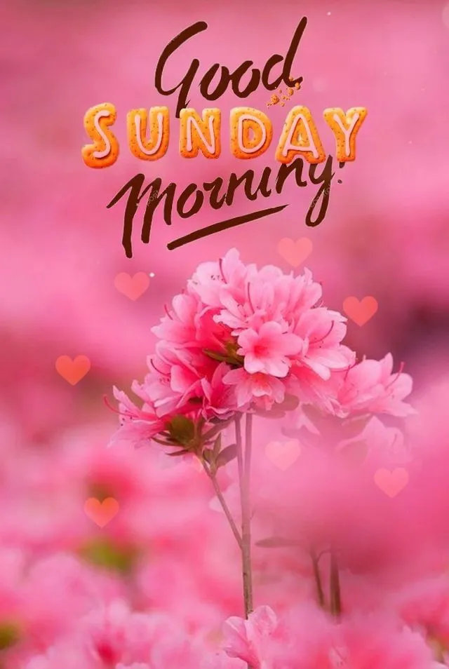 Good Morning Sunday Photos For Whatsapp