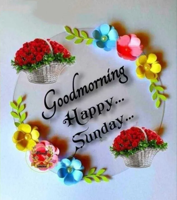 Good Morning Sunday Photos