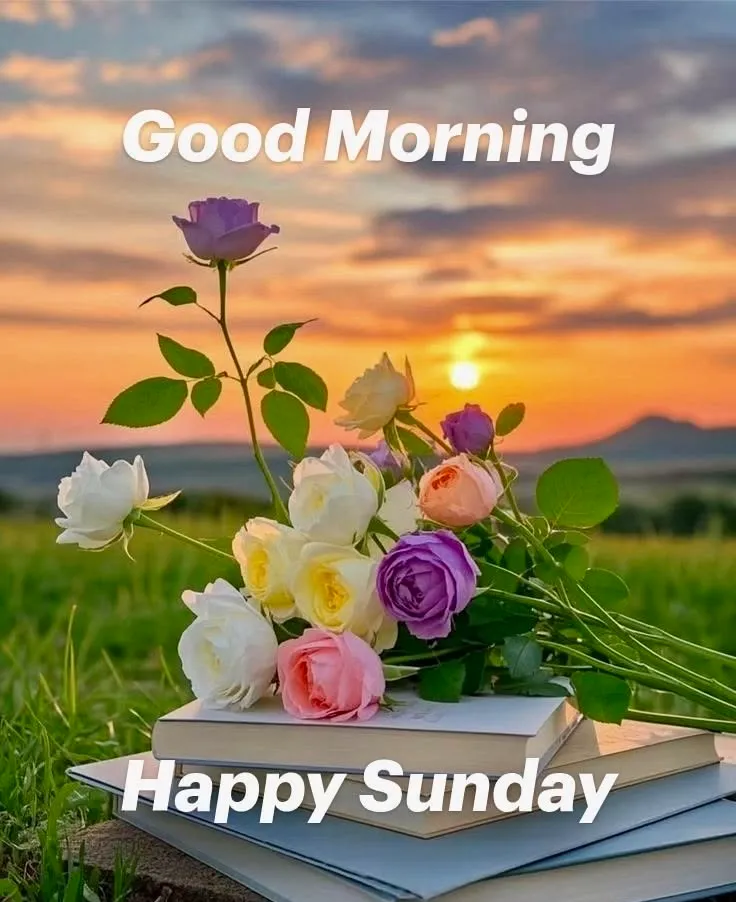 Good Morning Sunday Pics