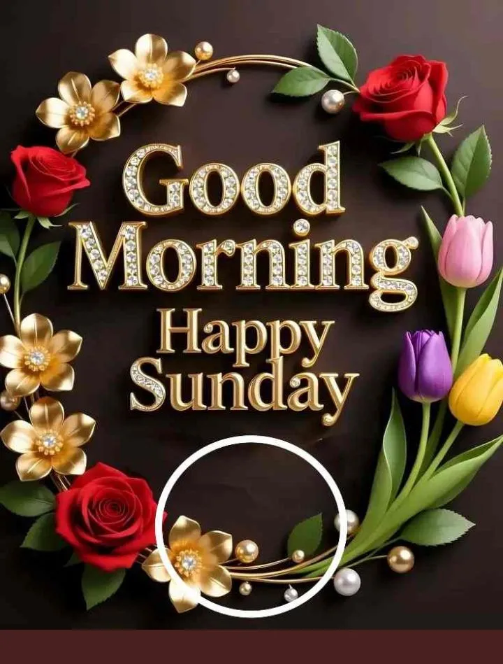 Good Morning Sunday Pics