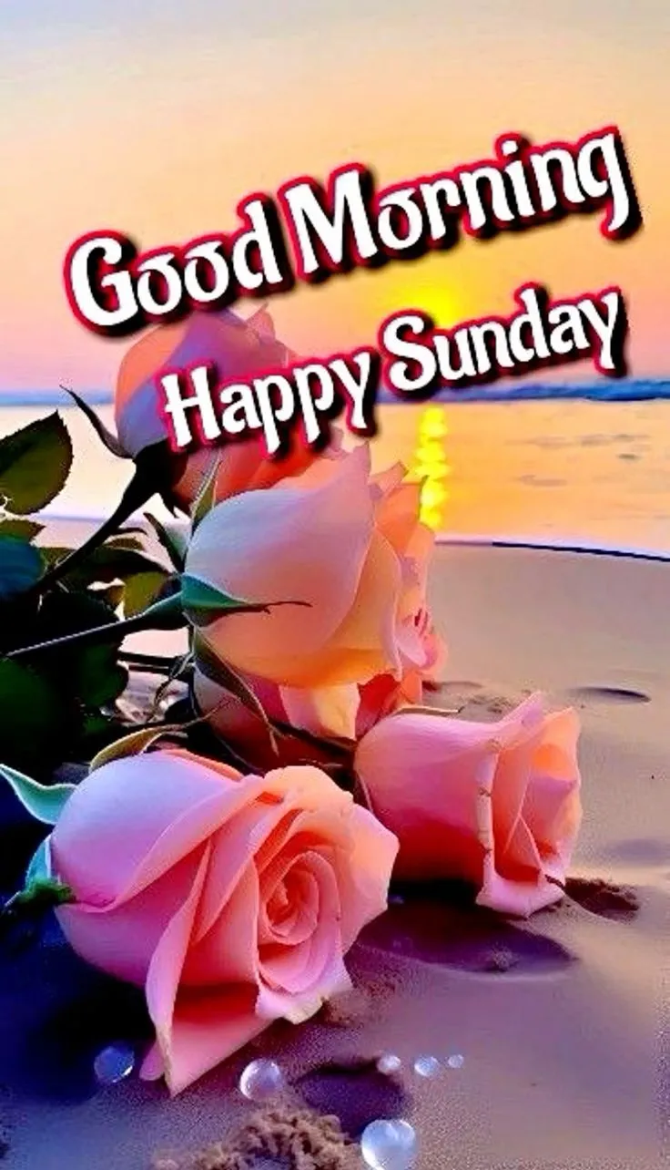 Good Morning Sunday Picture Good Morning Sunday Picture