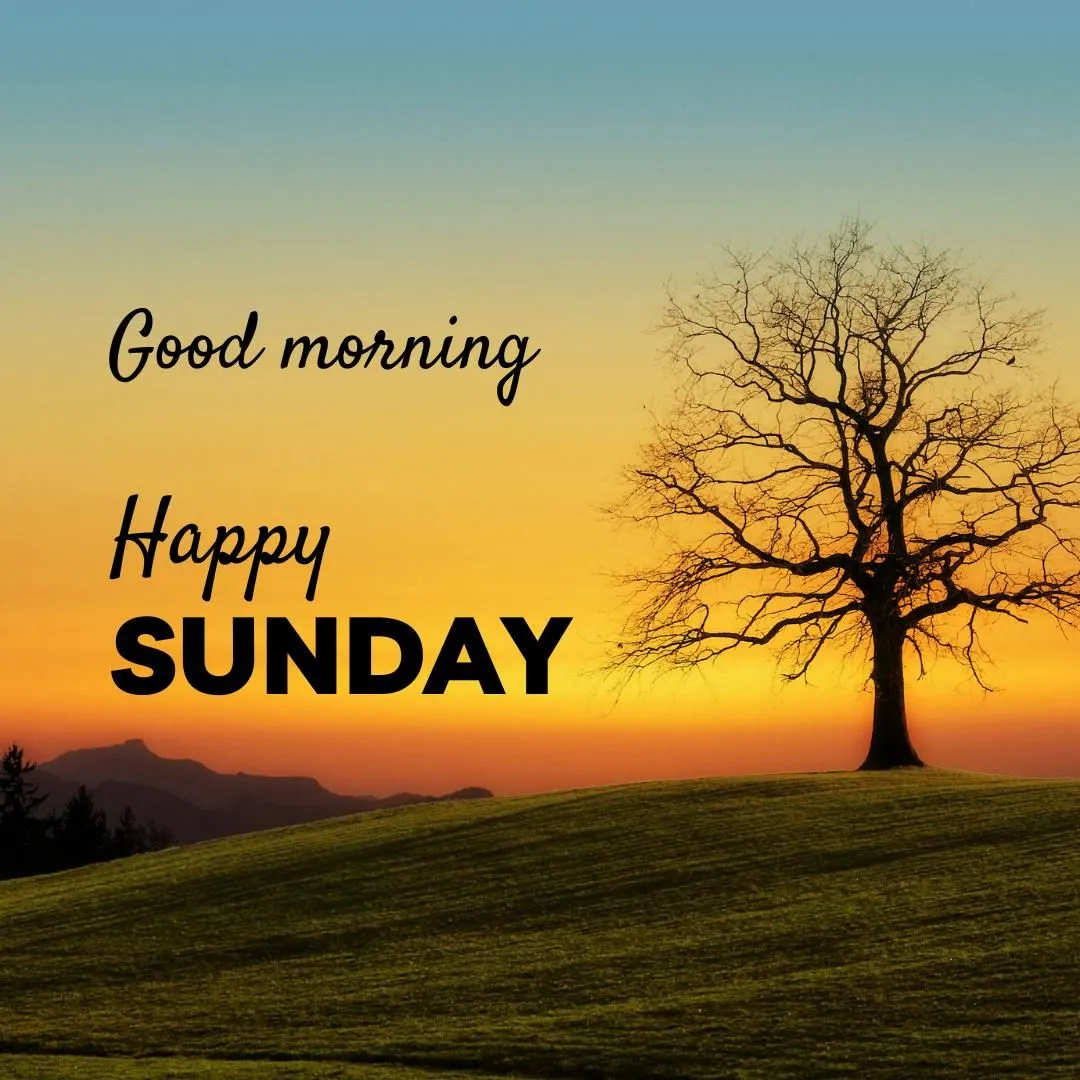 Good Morning Sunday Pictures