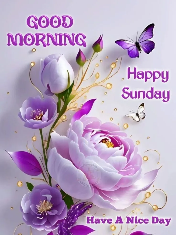 Good Morning Sunday Pictures