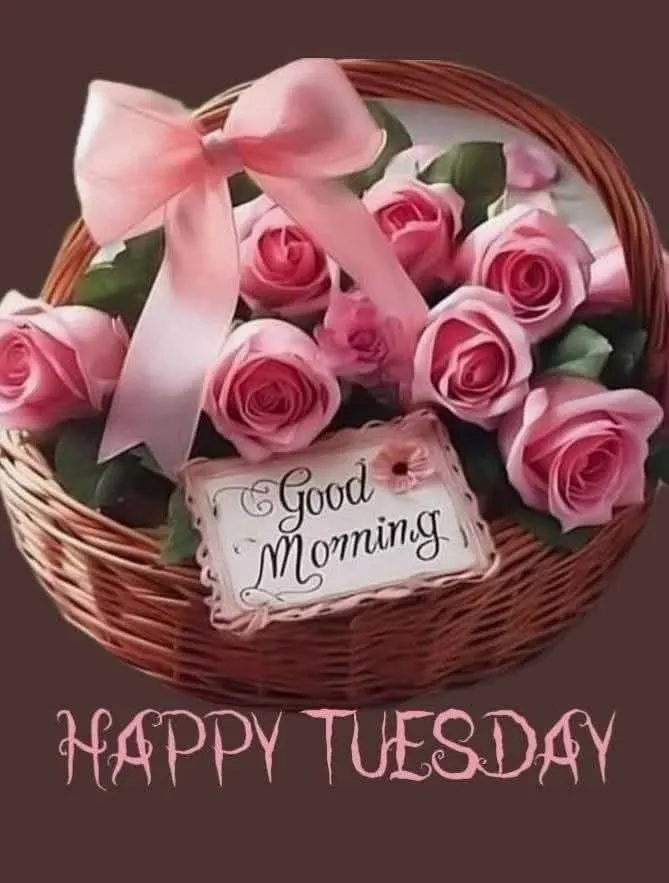 Good Morning Tuesday Dp Image Good Morning Tuesday Dp Image