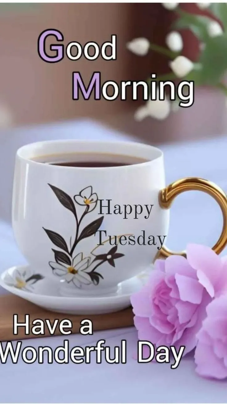 Good Morning Tuesday Images Good Morning Tuesday Images