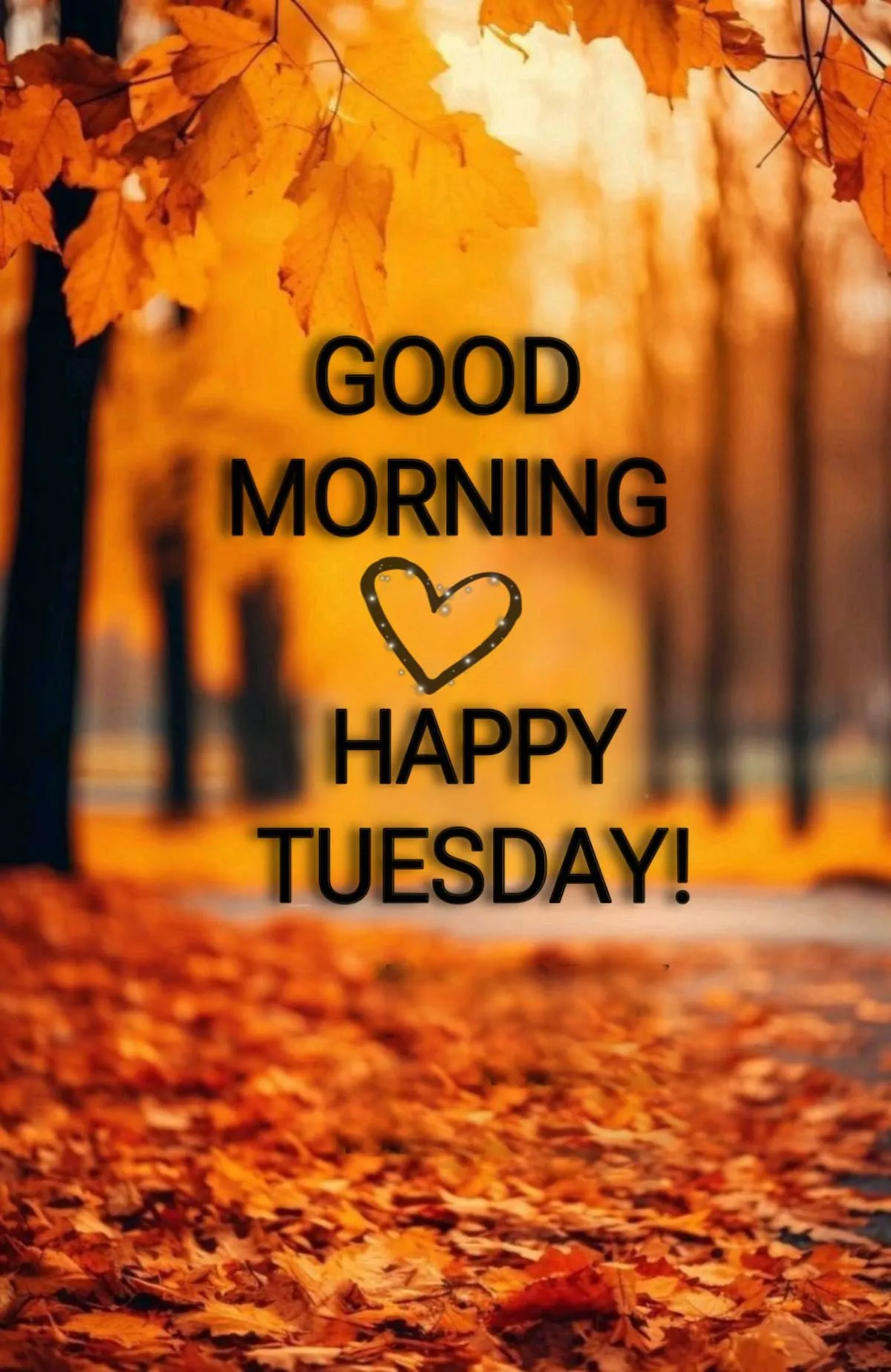Good Morning Tuesday Images For Whatsapp Good Morning Tuesday Images For Whatsapp