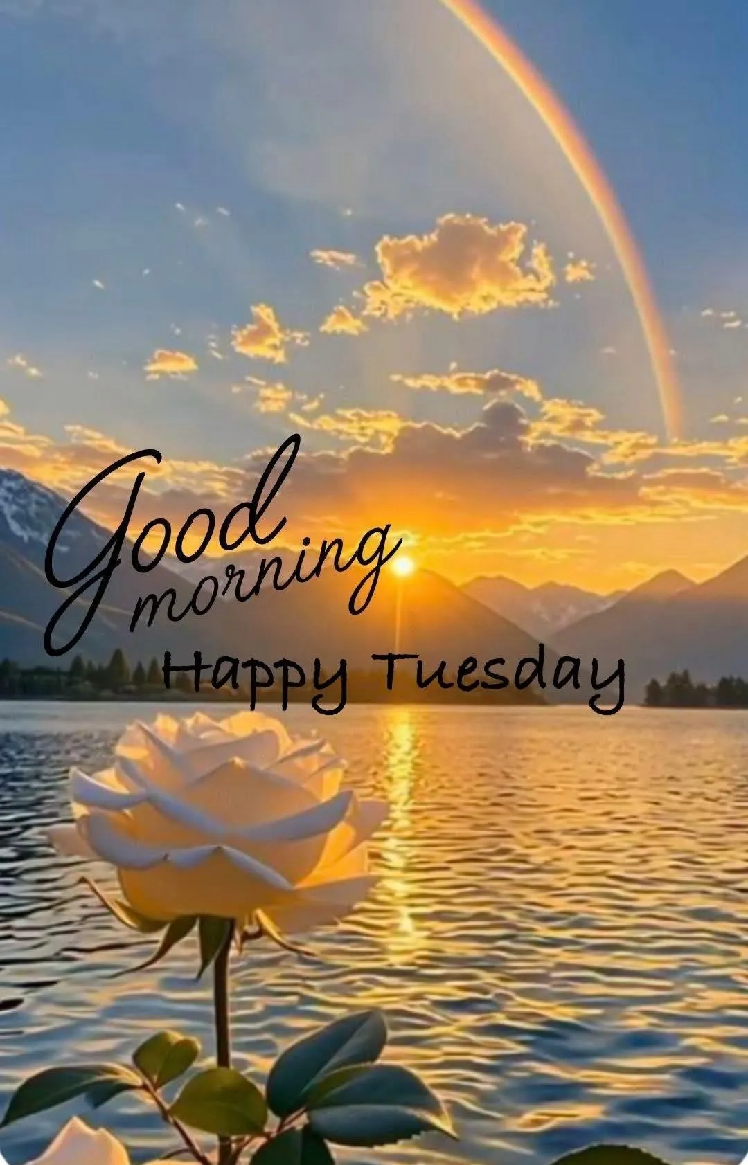 Good Morning Tuesday Images For Whatsapp Good Morning Tuesday Images For Whatsapp