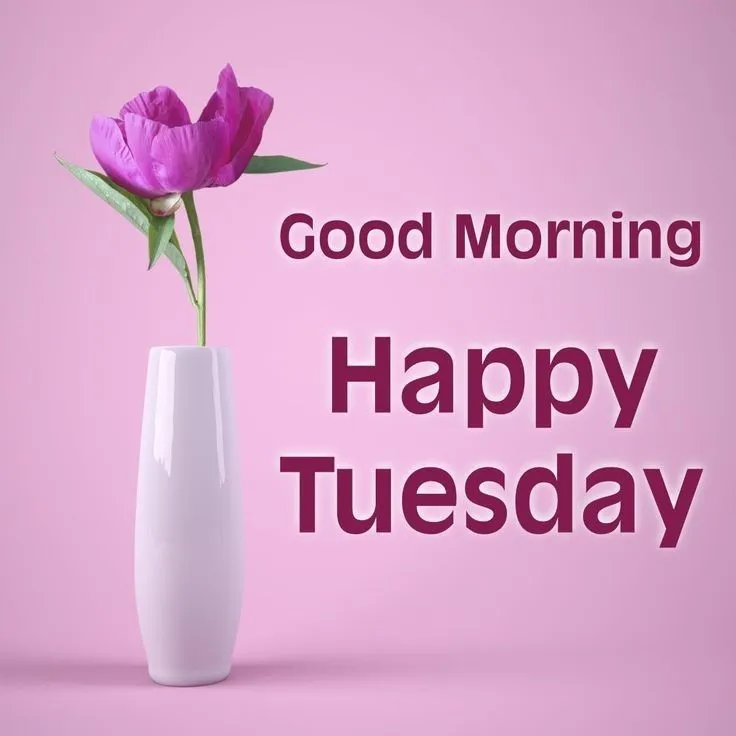 Good Morning Tuesday Photos Good Morning Tuesday Photos
