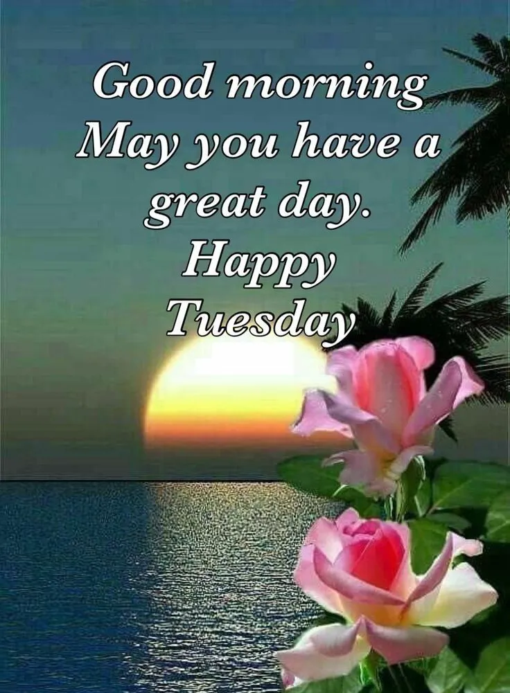good morning tuesday pic