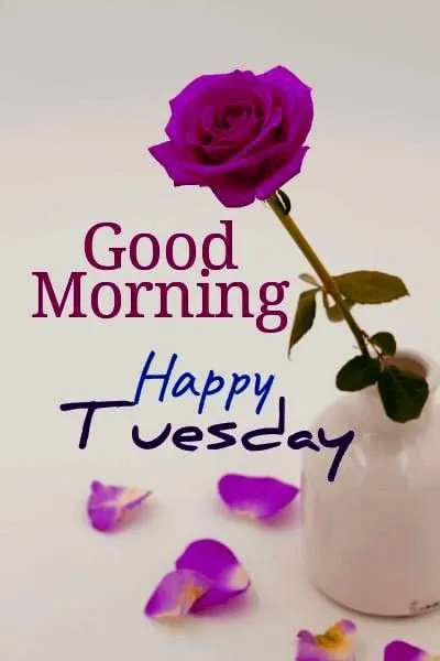Good Morning Tuesday Pics Good Morning Tuesday Pics
