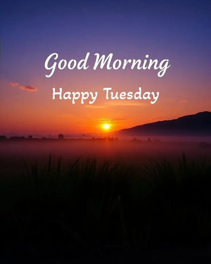 Good Morning Tuesday Pictures For Whatsapp Good Morning Tuesday Pictures For Whatsapp