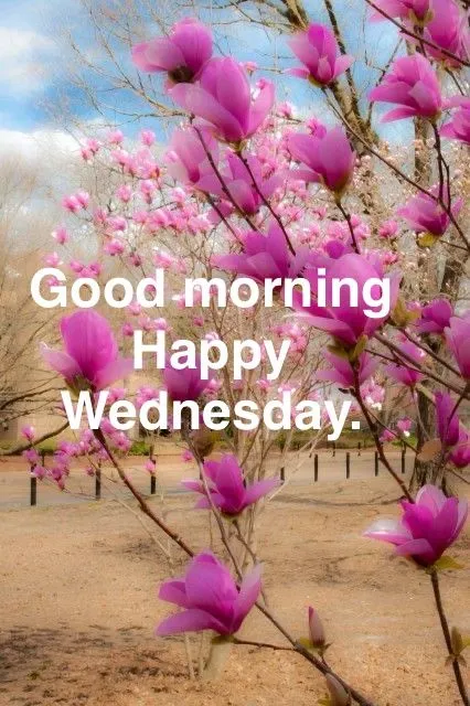 Good Morning Wednesday Photos