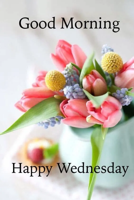 Good Morning Wednesday Picture