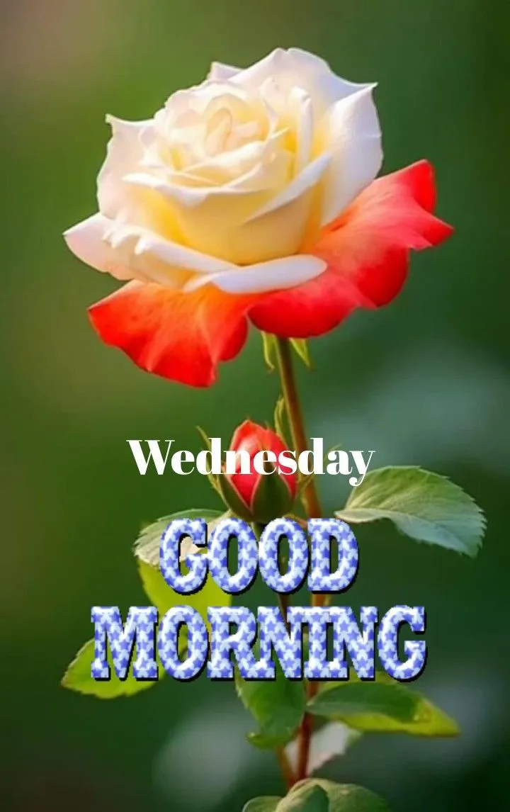 Good Morning Wednesday Pictures