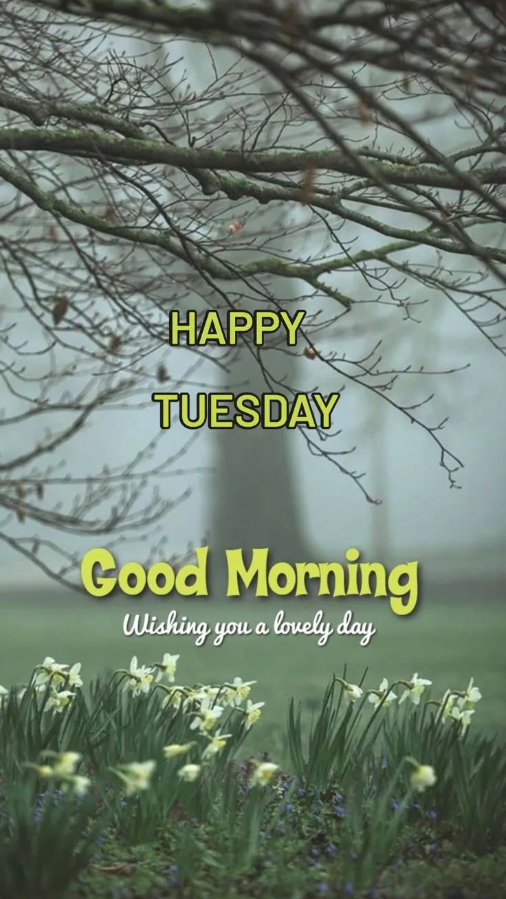 Happy Tuesday Good Morning Images