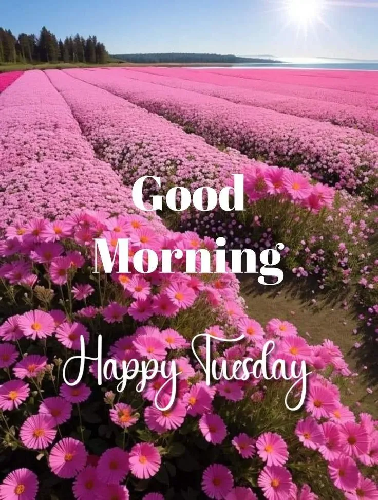happy tuesday good morning images