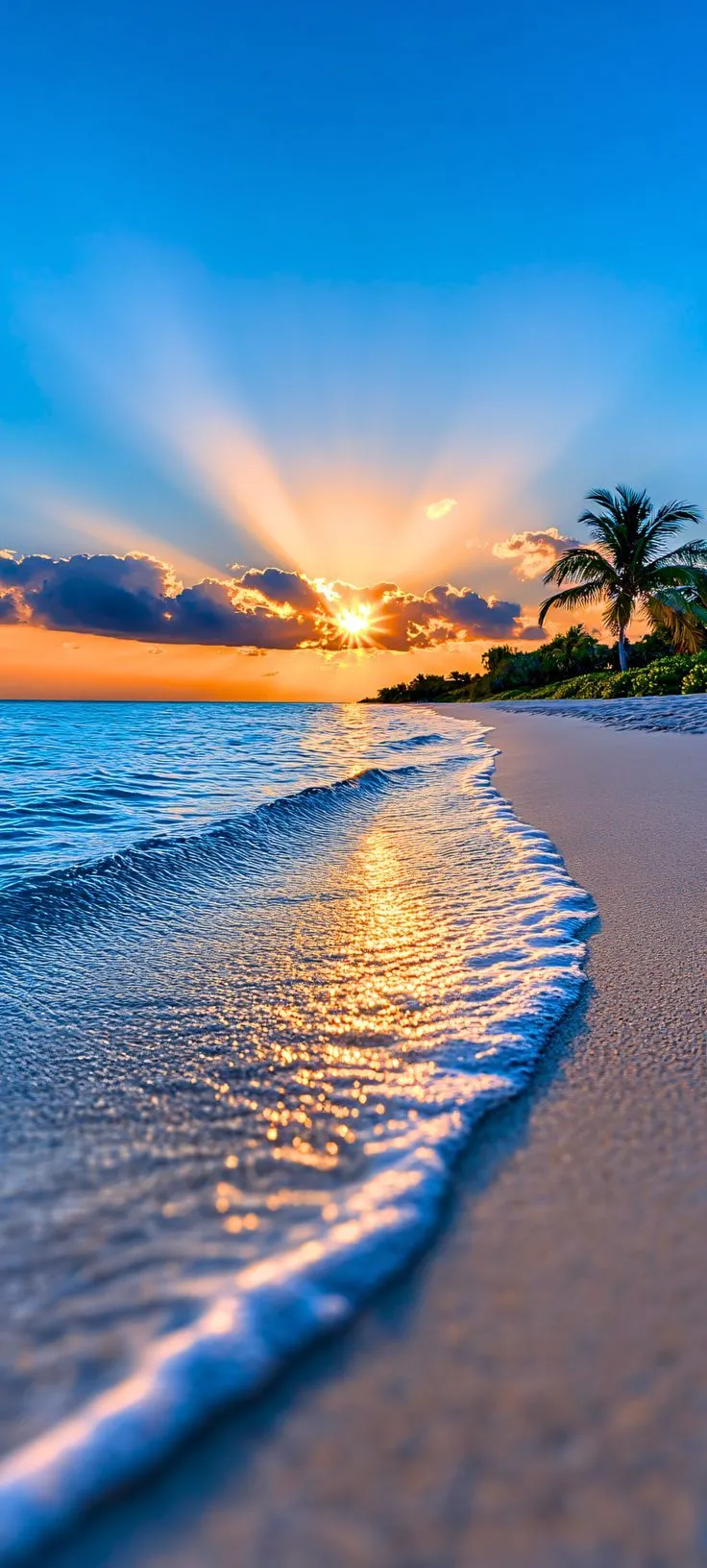 Nature Dp