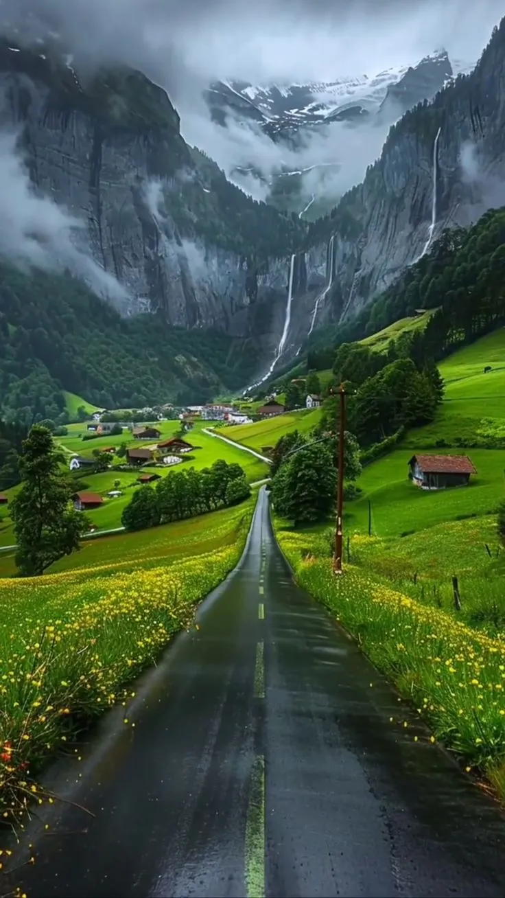 Nature Pic