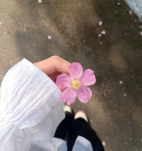 Photos For Instagram Dp Photos For Instagram Dp