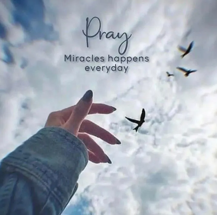 Photos For Instagram Dp Photos For Instagram Dp