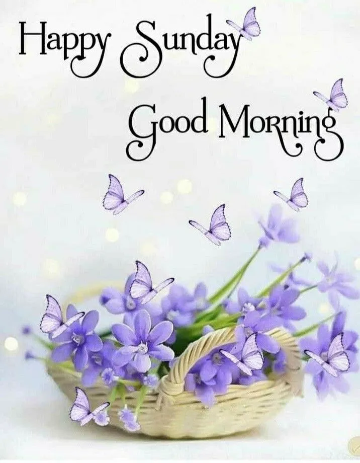 Sunday Good Morning Photo